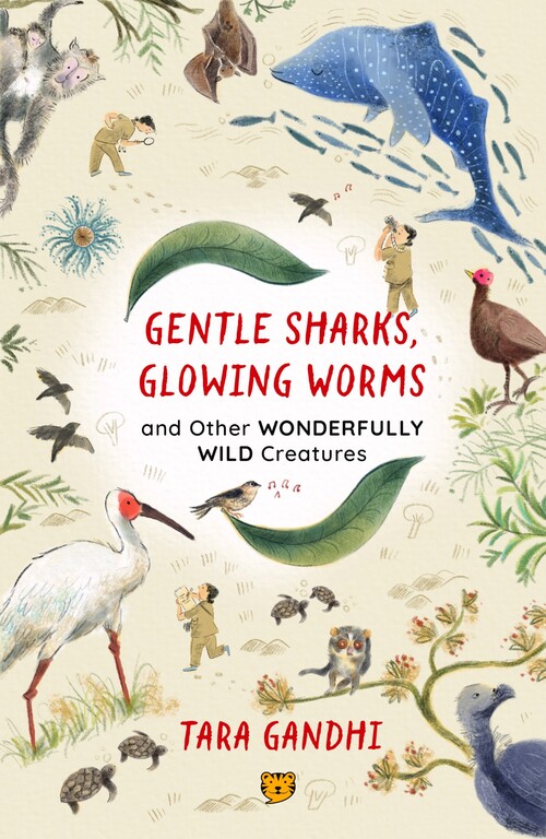 Gentle Sharks, Glowing Worms